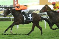 Former Sydneysider Sure To Take Beating At Murwillumbah (Tuesday)