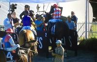 TRJC, Murwillumbah Trainers, Matt Dunn, George Flack, & Carolyn Halliday Win 3 From 8 At Lismore