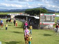 TRJC Murwillumbah Racing Today Under Fine Conditions (Scratchings)