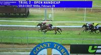 Local Perfect Dare Wins Trial At Gold Coast, After Country Championship Qaulifier