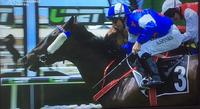 TRJC Trainer Darren Graham Goes Back-To-Back With Morendi In Town