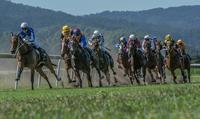 Final Fields For TRJC Murwillumbah Meeting On Tuesday