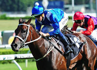 Hugh Bowman On The Mighty Mare