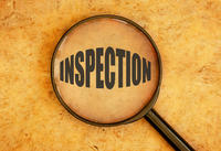 Stewards Make Inspection Of Murwillumbah (Racing Sunday)