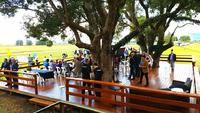 Enjoy the new place to be on Melbourne Cup Day.
