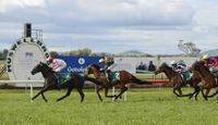Clapham Pondering His Chances Of A Breakthrough At Murwillumbah