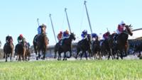 10 out of 10 ride delivers Country Classic to Dunn