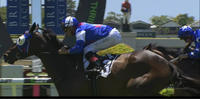 Morendi Lands A Doomben Metro Prize Over 2200m For Local Trainer Darren Graham