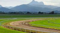 Whips are cracking again in the Tweed Valley