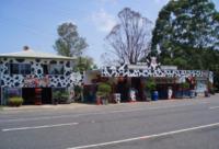 Our Next Raceday Is Coming Up On May, 7