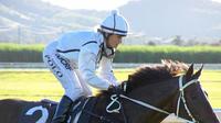 Anzac Cup could be Andante's inferno