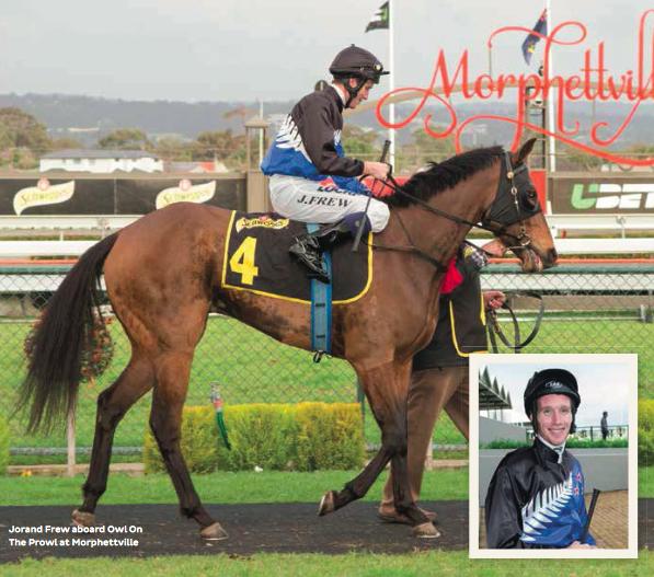 Australian Horse Trainer J & J Frew Racing