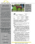 BEL ESPRIT X RUBY NINETAILS (yearling available)
