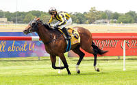 Washington Towers Chasing History In $2 Million Inglis Millennium