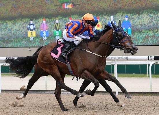 Sky Rocket launches Gold Cup trail with first-up win