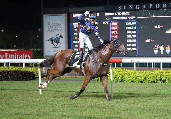 Lim's Cruiser is going to Royal Ascot