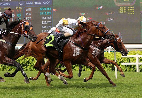 Gray's Acrobat the perfect send-off for Clark
