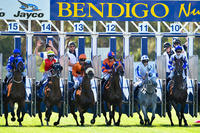 Wyangle To Run At Bendigo On Sunday