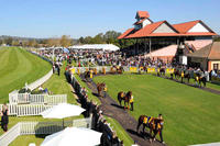 The Stable To Saddle Up Wagga Runners On Thursday