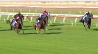 Pretty Pine Runs A Nice Third At Wangaratta