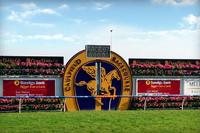 Baby Don't Cry To Compete At Caulfield On Saturday