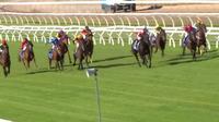 Cash Crisis Wins Two From Two At Wangaratta, Piloted By Nick Souquet