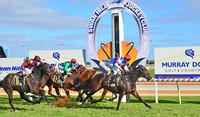 Craig Widdison To Supply Runners To Swan Hill On On Sunday