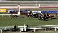 Lord Laurie Runs 2nd At Wagga Over 1200m