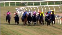 Baby Jack Finishes 2nd At Swan Hill