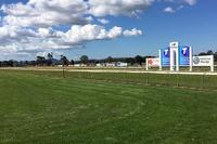 Stable Runners For Craig Widdison At Wodonga On Monday