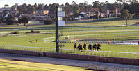 Baby Jack To Run At Ladbrokes Park (Hillside) On Wednesday