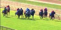 Mr Fergus Runs Third At Echuca