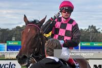 Willi Willi To Run At Flemington Under Craig Williams