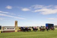 Banger To Contest For The Prize At Wagga On Monday