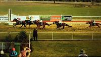Cagney Relishes The Going To Score Race 7 On The Corowa Card
