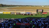 Stable Runners For Craig Widdison At Wagga On Monday