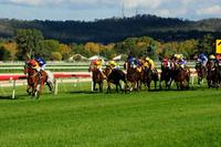 Two Stable Runners To Compete On Thursday At Wagga Murrumbidgee