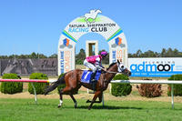 Bay Lane To Run First Time Out At Tatura On Saturday