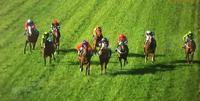 Cash Crisis Resumes With A Third At Wangaratta
