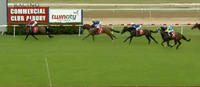 Cash Crisis To Strong At Albury Under Tahlia Hope
