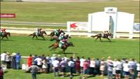 Wakool Runs A Nice Race At Wodonga To Finish 2nd