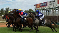 Stable Runners For Leeton On Monday