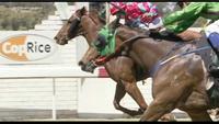 Steve's Choice Collects The Winners Prize In Race 2 At Leeton