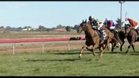 As Bad As Tyson Wins The Lillypilly Cup