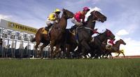 Stable Runners For Wagga On Tuesday
