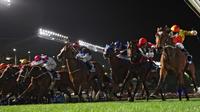 As Bad As Tyson Noms For Moonee Valley & Gundagai