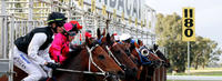 Ruby Skye To Run At Gundagai On Saturday