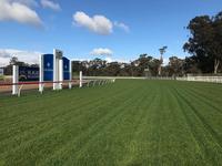 A team Of Widdison Runners To Compete At Seymour On Thursday.
