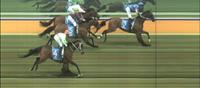 Wakool Runs Second At The Non Tab Meeting At Wangaratta
