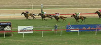 Ruby Skye Bring Up A Maiden Win At Wagga